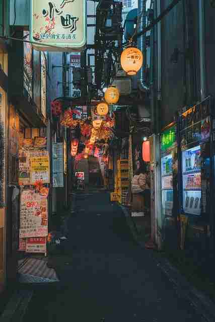 速读·91在线进阶手册：超全解析