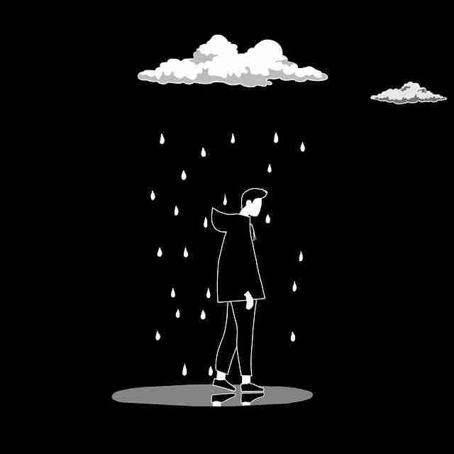 超清妻社安装：版本对比